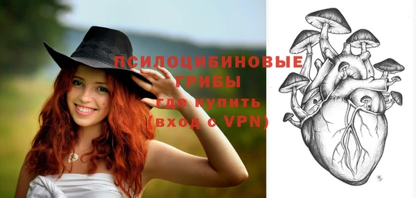 a pvp Вязники