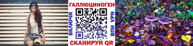 Псилоцибиновые грибы мухоморы  Купить закладки  Нерчинск 